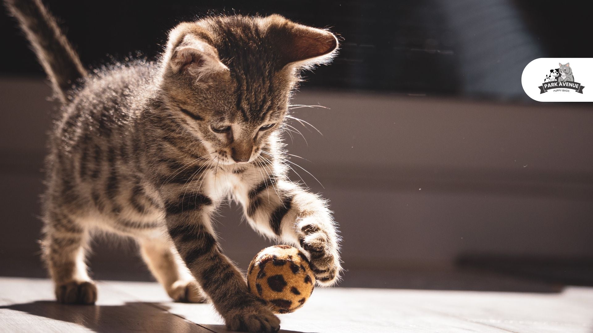 Top 10 Interactive Cat Toys to Keep Your Feline Friend Entertained
