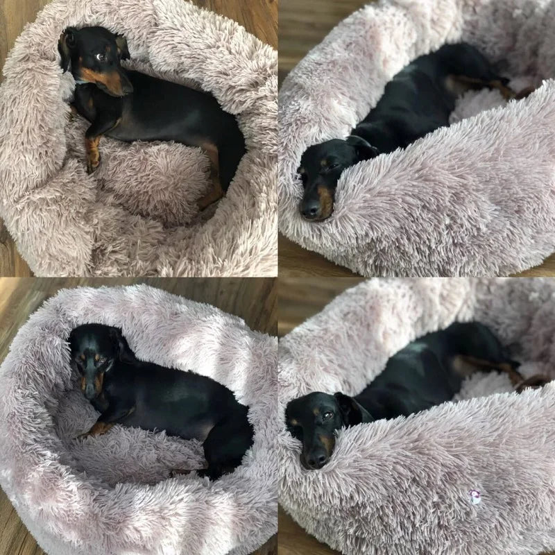 Round Plush Winter Bed