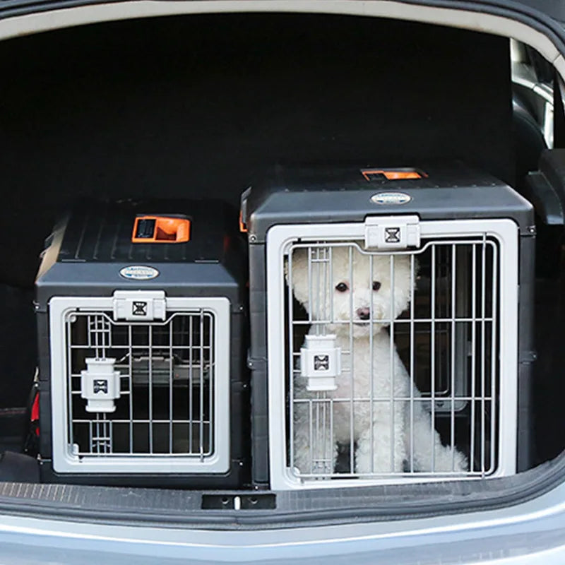 Foldable Pet Air Carrier