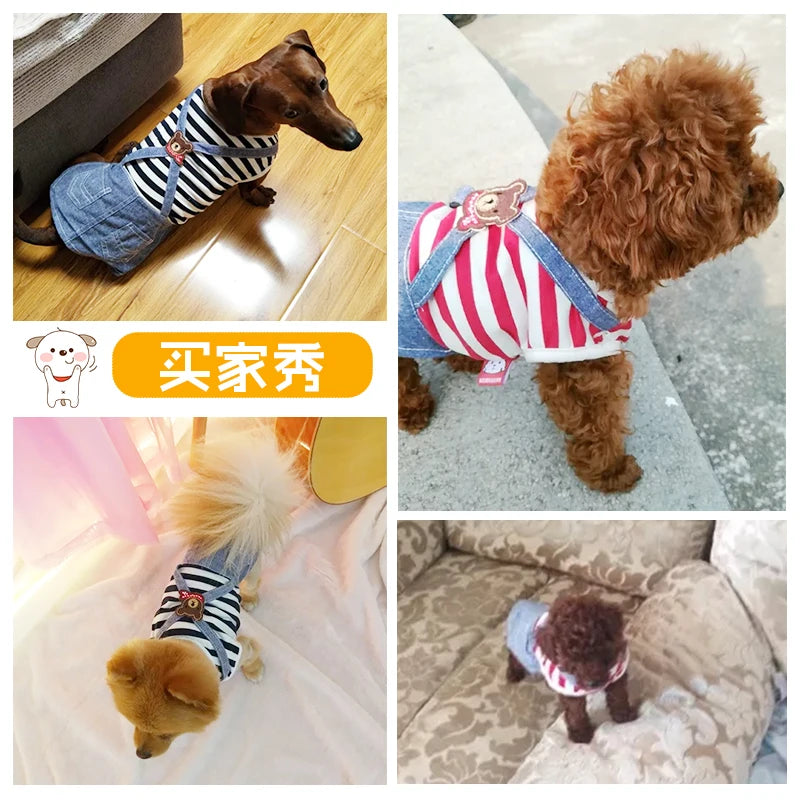 Cute Clothes For Small Breeds