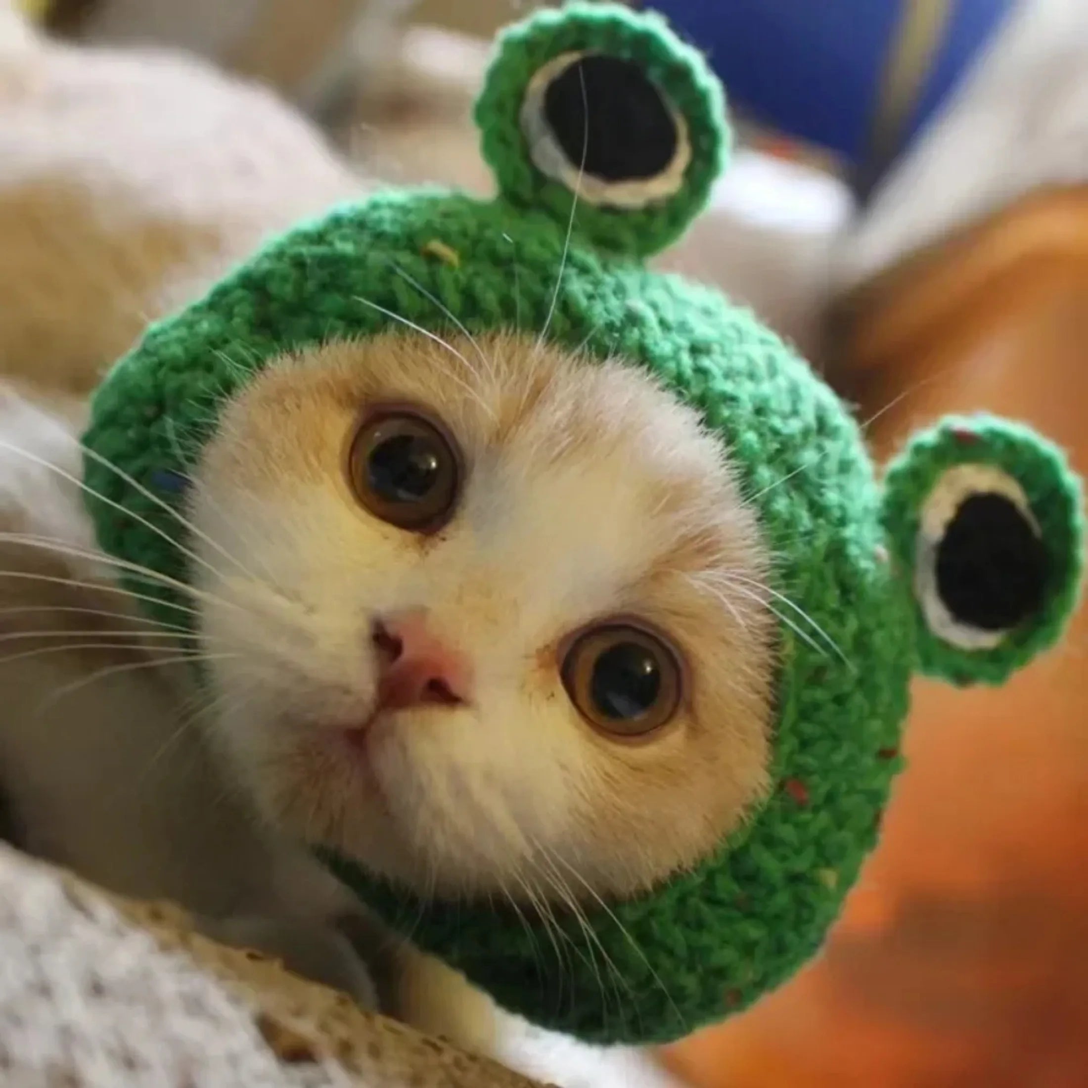 Cosplay Costume Hat