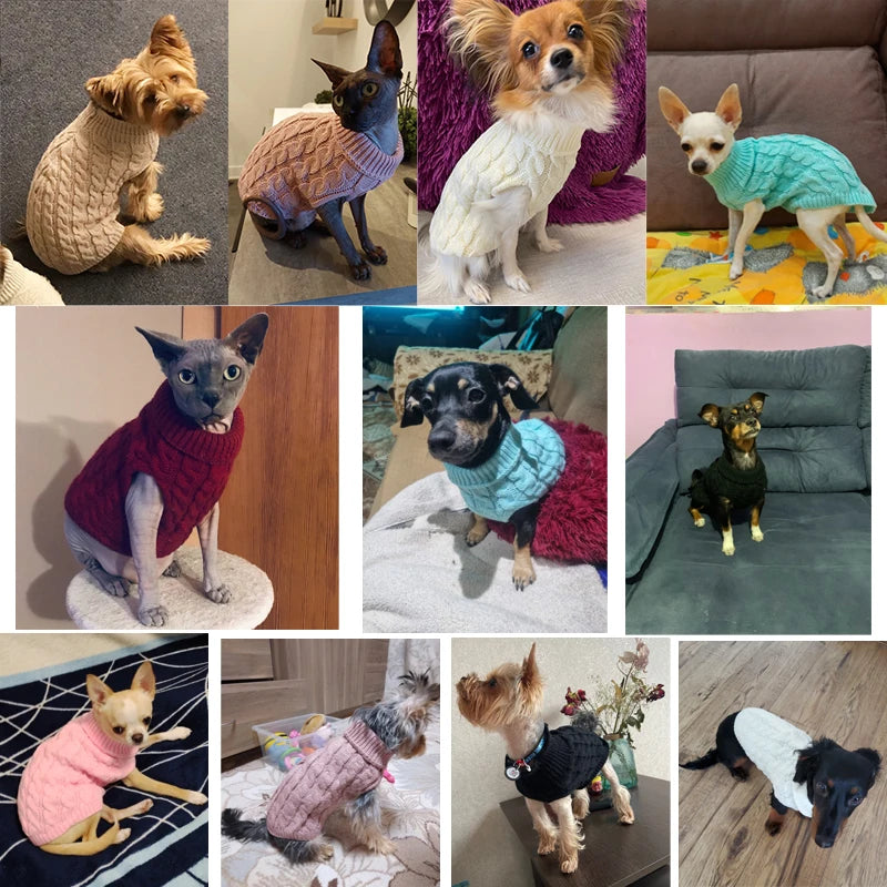 Knitted Turtleneck Sweaters