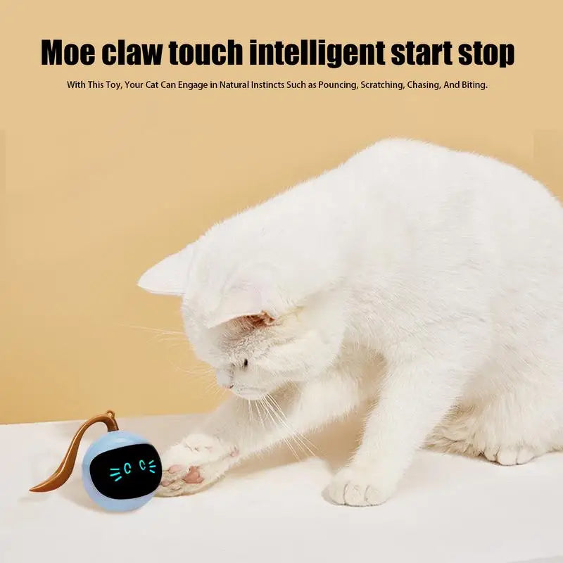 Smart Cat Ball