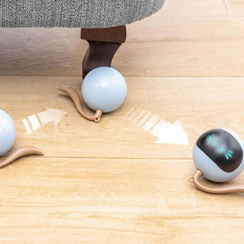 Smart Cat Ball