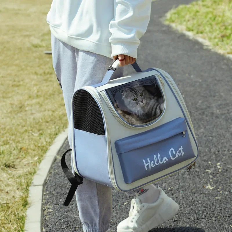 Portable Transparent Backpack
