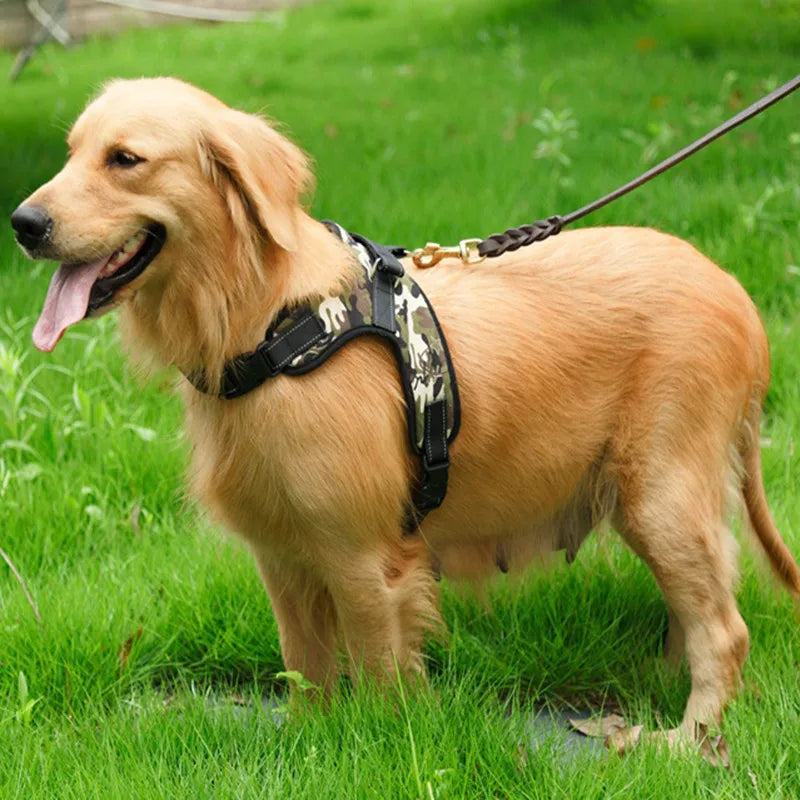 Adjustable Nylon Dog Harness