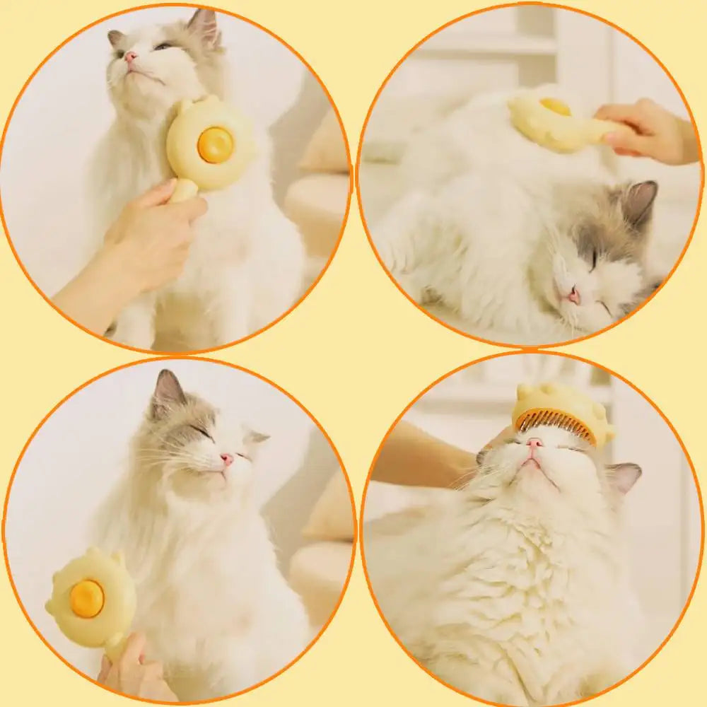 Pet Grooming Set