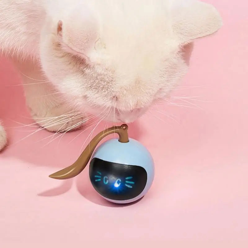 Smart Cat Ball