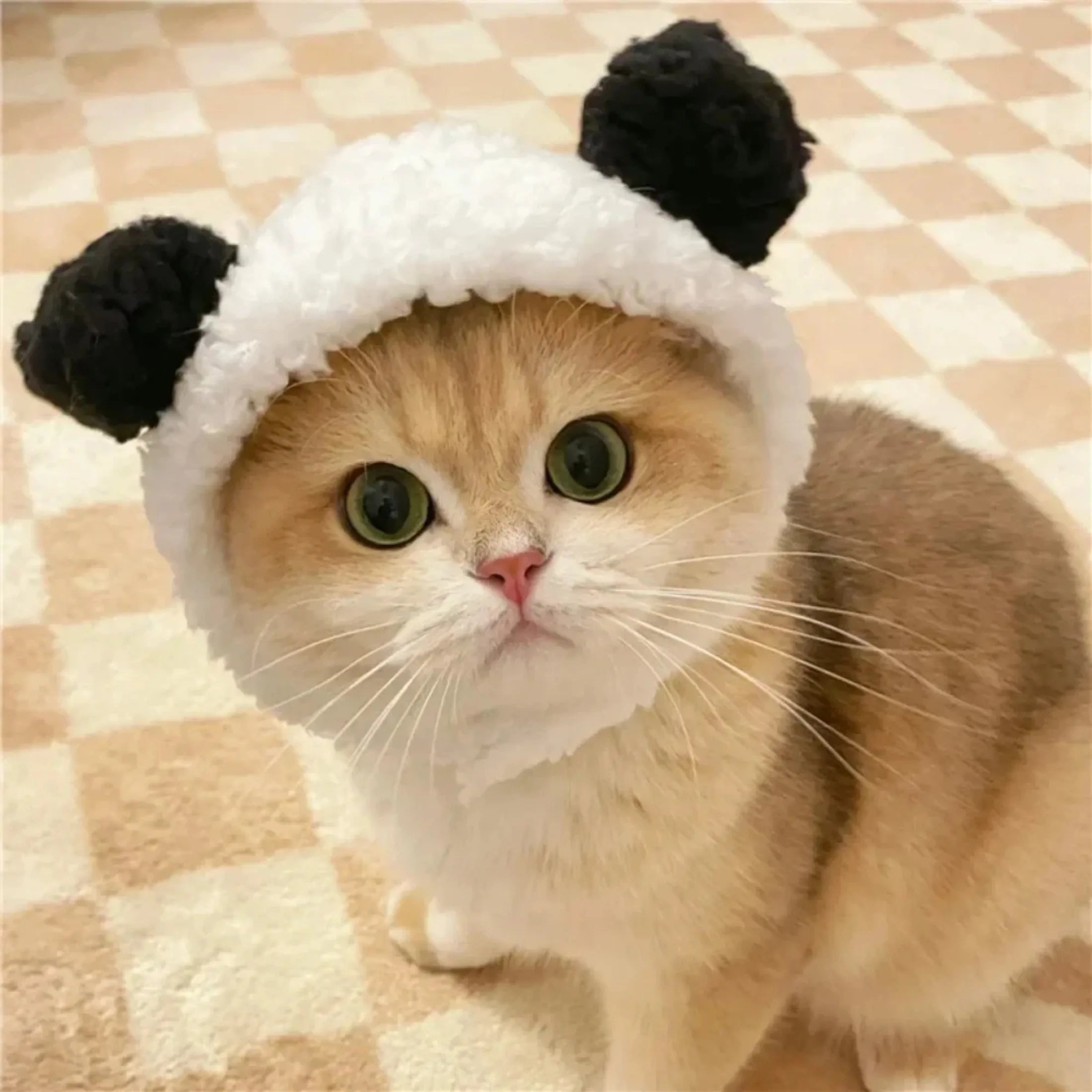 Cosplay Costume Hat