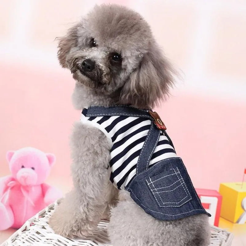 Cute Clothes For Small Breeds