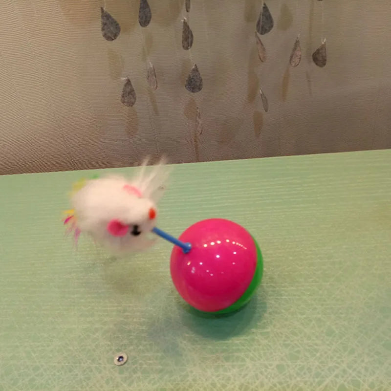Mouse Tumbler