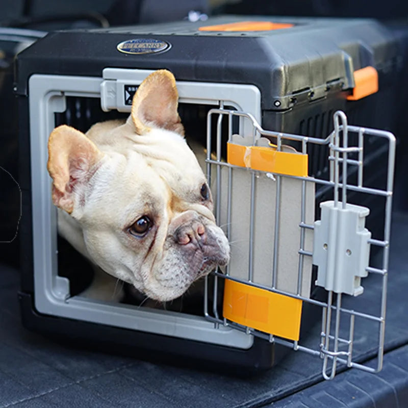 Foldable  Pet Air Carrier