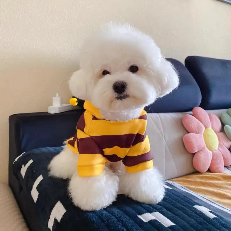 Halloween Bee Hoodie