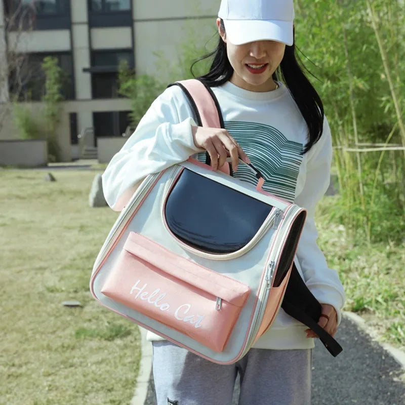 Portable Transparent Backpack