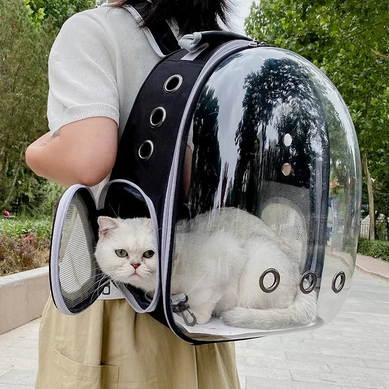 Cat Space Backpack