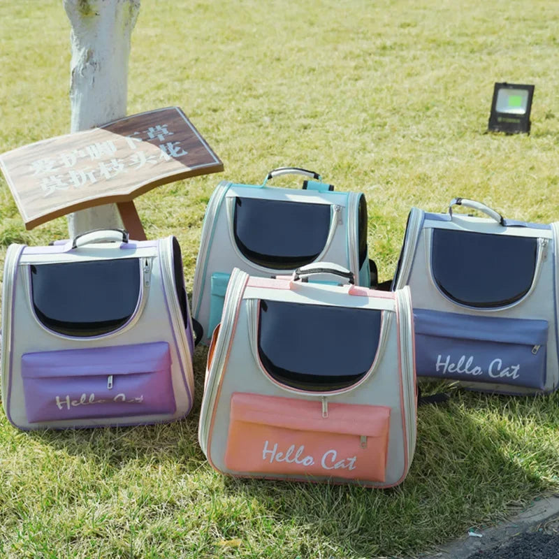 Portable Transparent Backpack