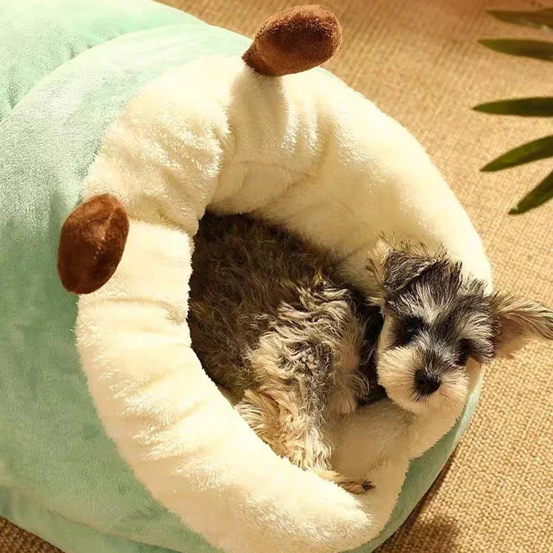 Slipper Dog Bed