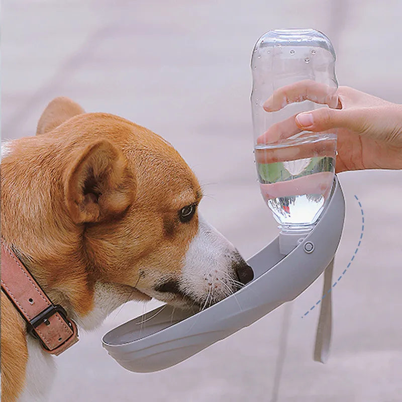 Dogs Portable Water Cup
