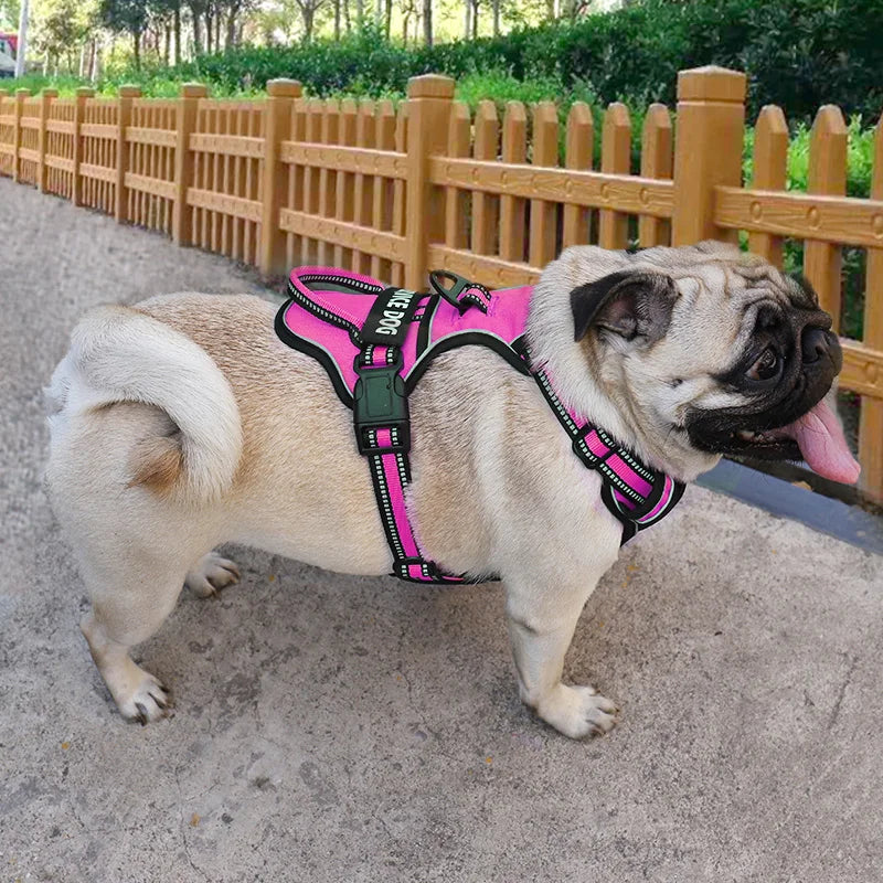 Personalized Reflective Dog Harness