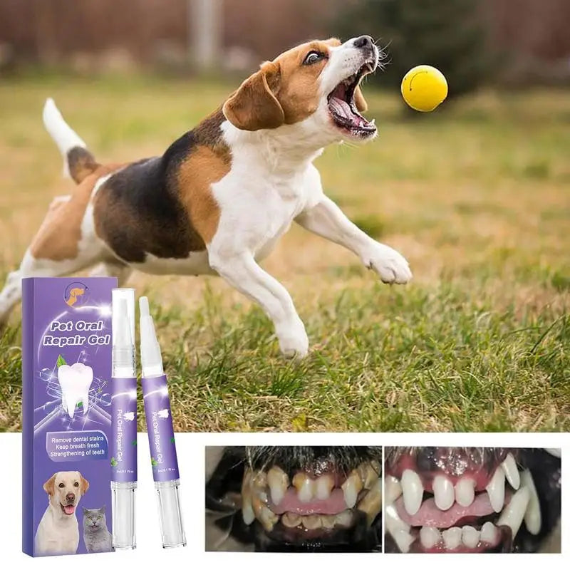 Natural Dog Toothpaste Gel Freshner