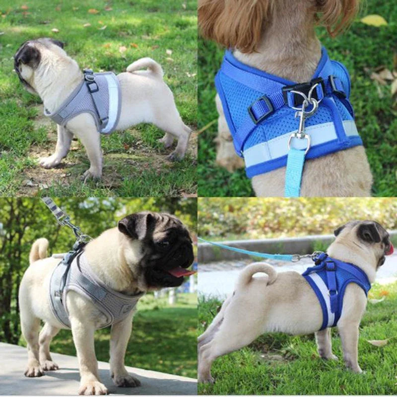 Adjustable Mesh Vest Dog Harness With Leash