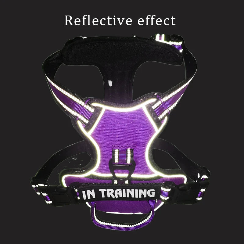 Personalized Nylon Reflective Dog Harness