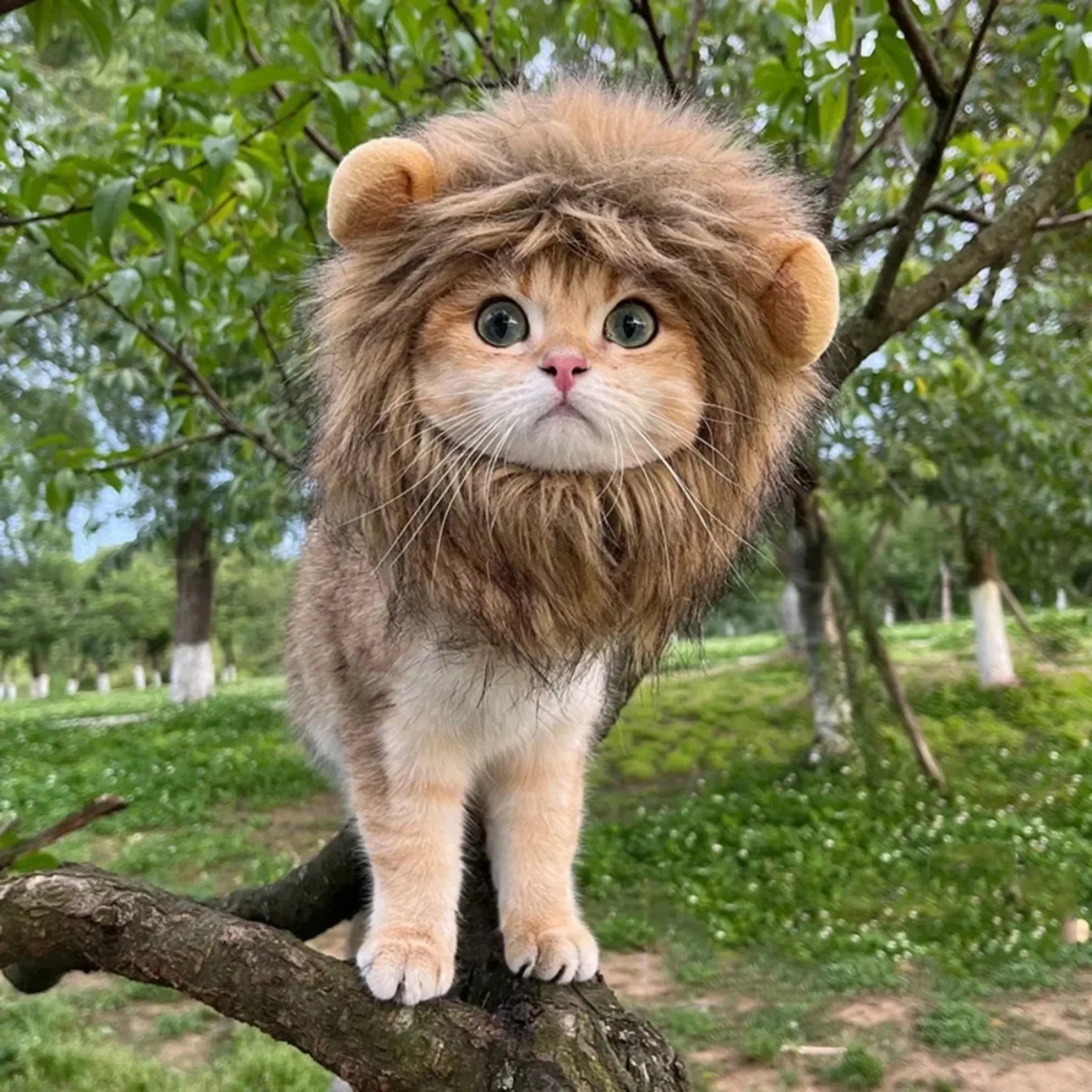 Cosplay Costume Hat